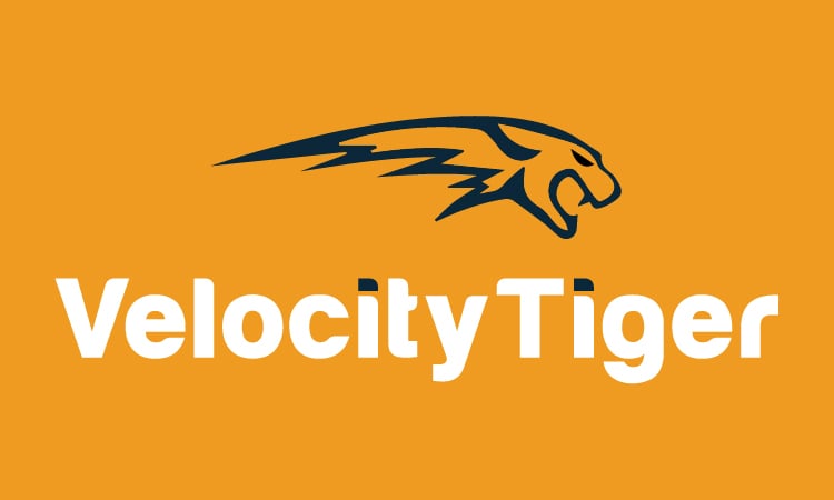 VelocityTiger.com - New domains for sale